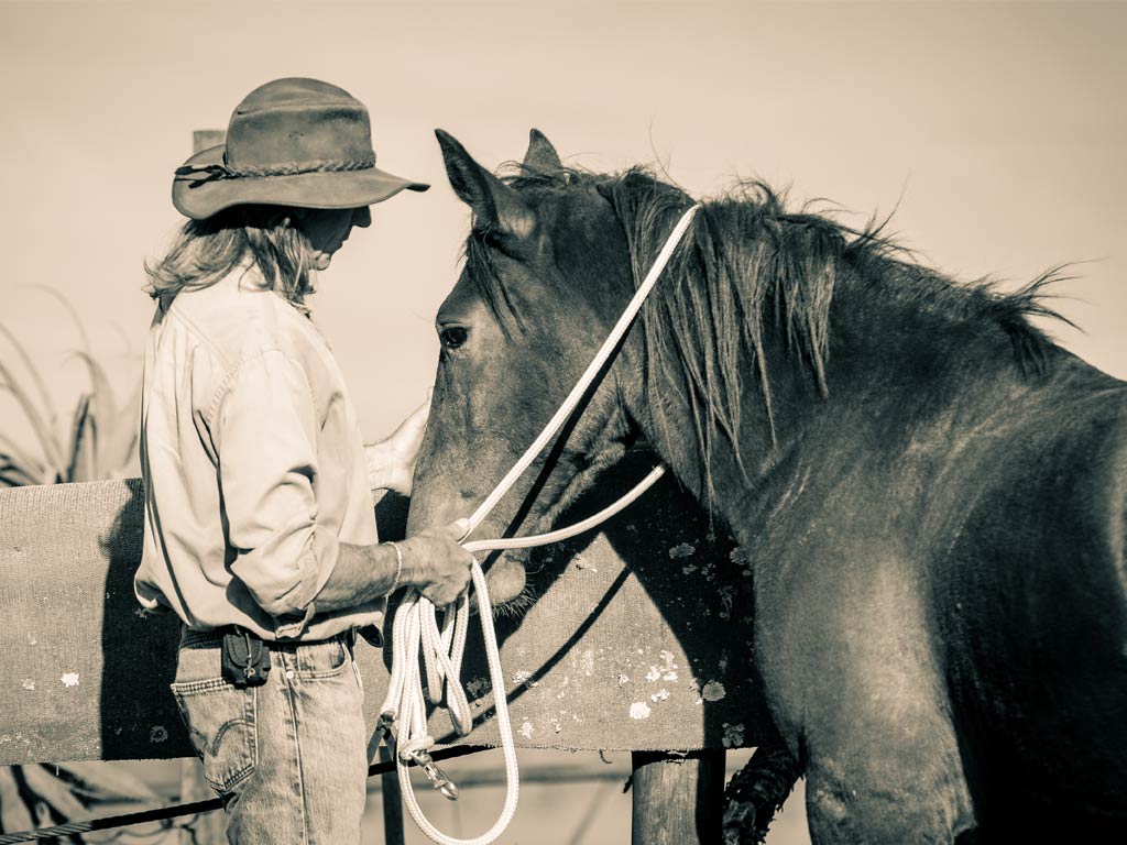 Natural Horsemanship