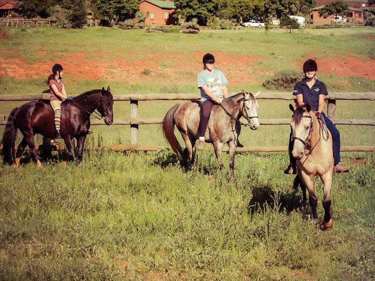 Pony Camp Riding School